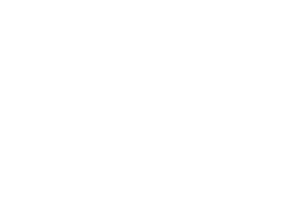 acorns-png